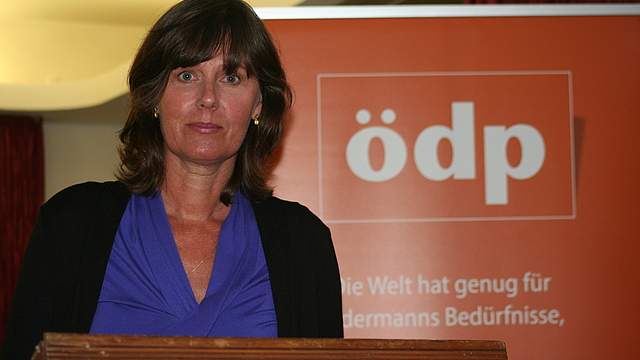 Referentin Angelika Demmerschmidt beim Vortrag